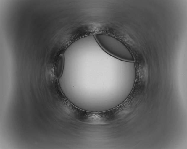 X0000116880611200912221427