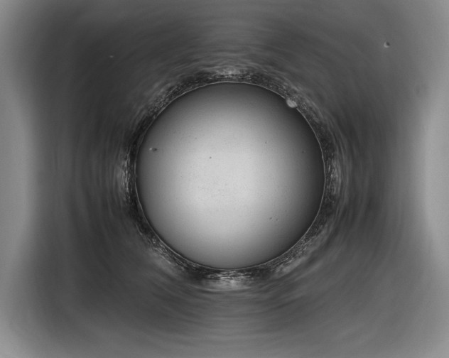X0000116880612200912221427