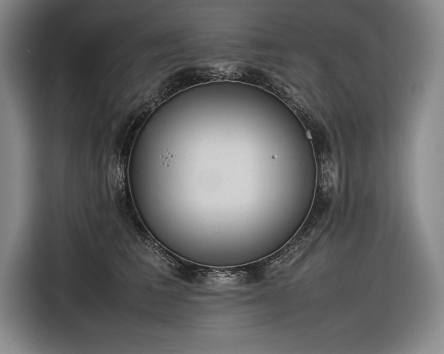 X0000116880613200912221427