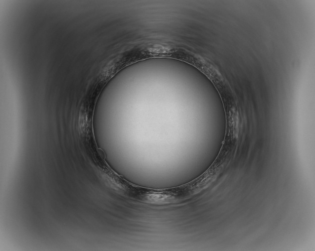 X0000116880614200912221427