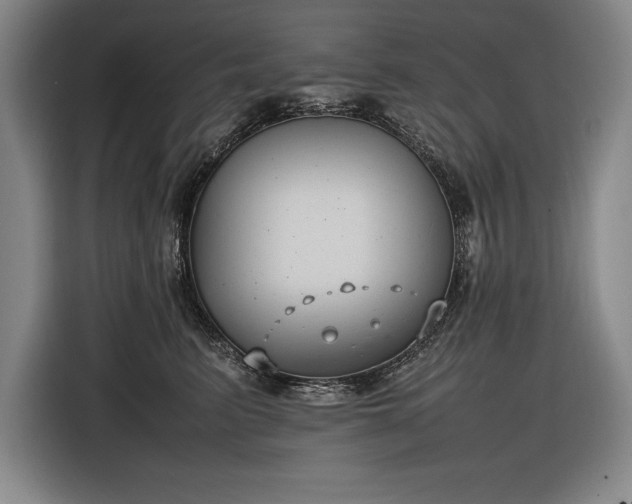 X0000116880615200912221427