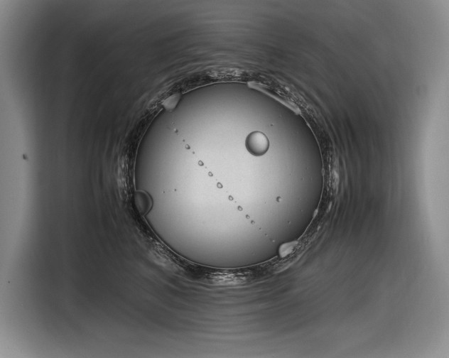 X0000116880616200912221427