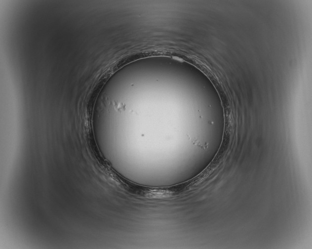 X0000116880617200912221427