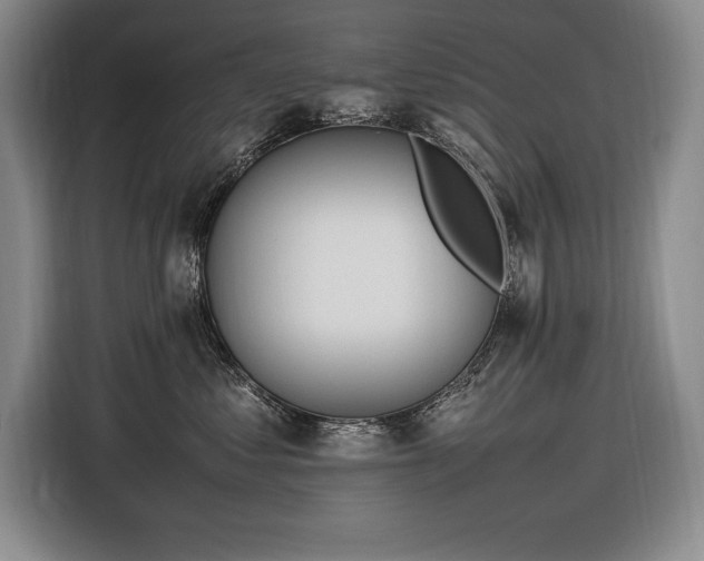 X0000116880621200912221427