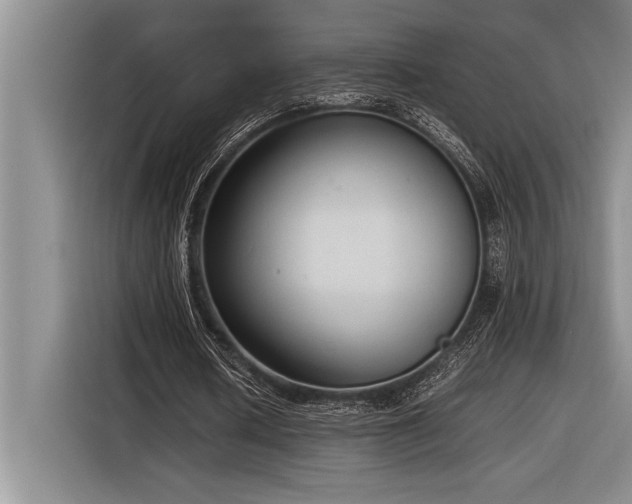 X0000116880626200912221426
