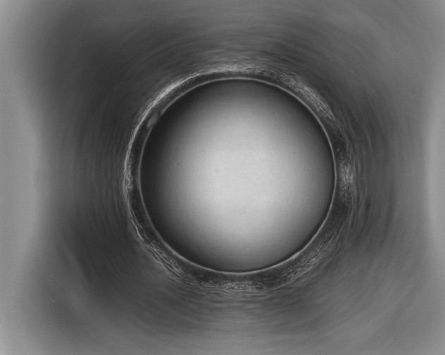 X0000116880628200912221426