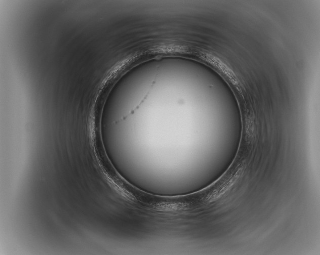 X0000116880629200912221426