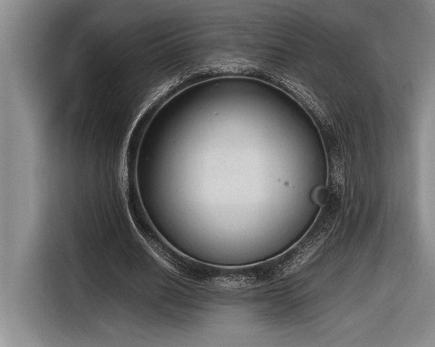X0000116880630200912221426