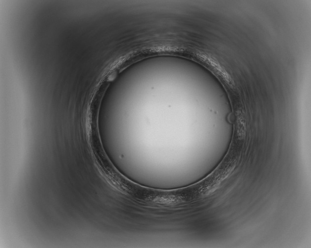 X0000116880631200912221426