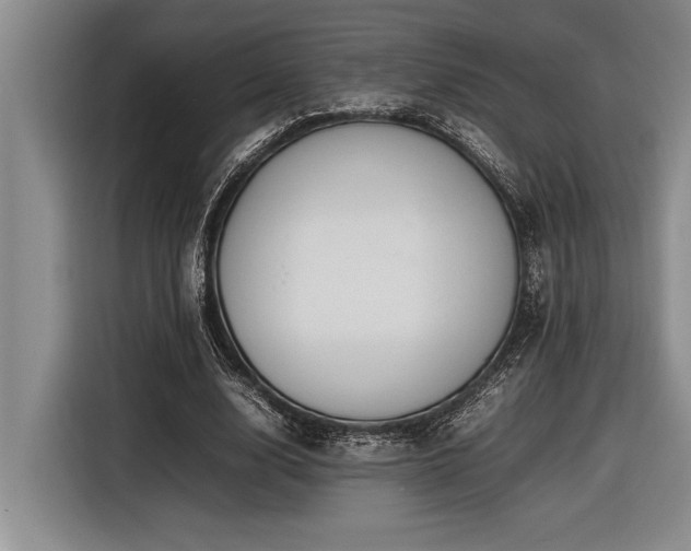X0000116880632200912221426
