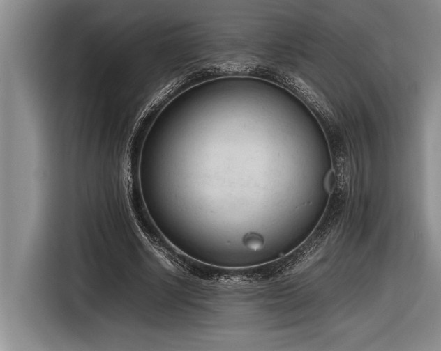 X0000116880634200912221426