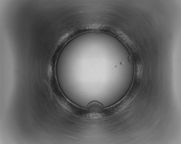 X0000116880636200912221426