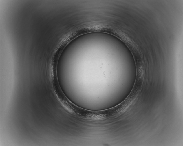 X0000116880638200912221426