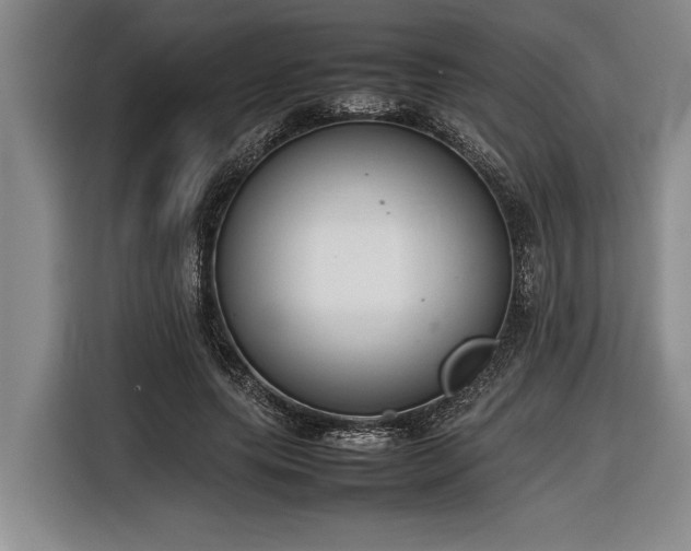 X0000116880639200912221426