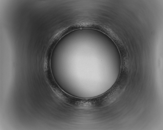 X0000116880640200912221426
