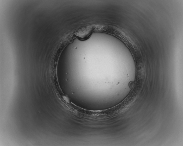 X0000116880641200912221426