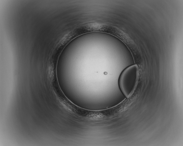 X0000116880642200912221426