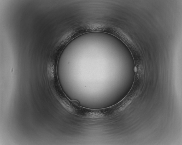 X0000116880644200912221426