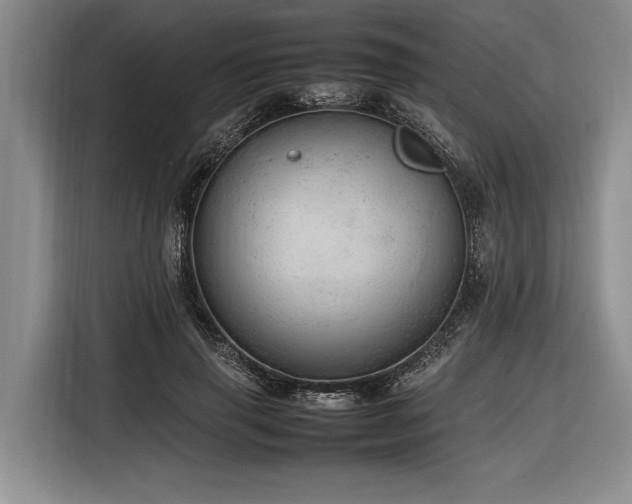 X0000116880645200912221426