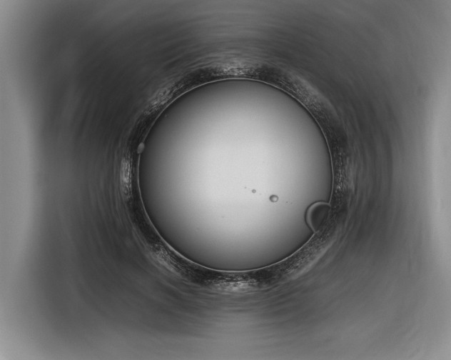 X0000116880646200912221426