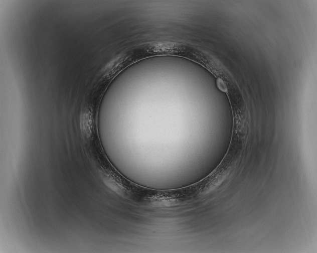 X0000116880648200912221426