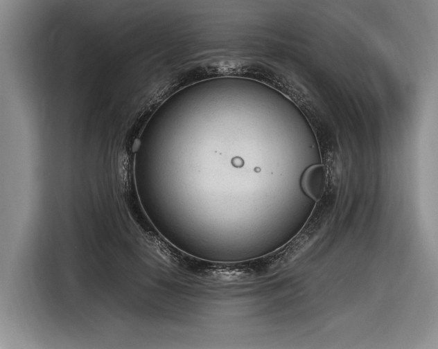 X0000116880650200912221426