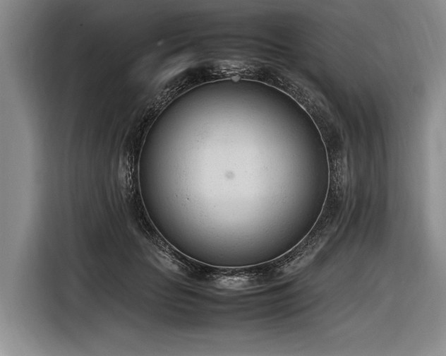 X0000116880653200912221426