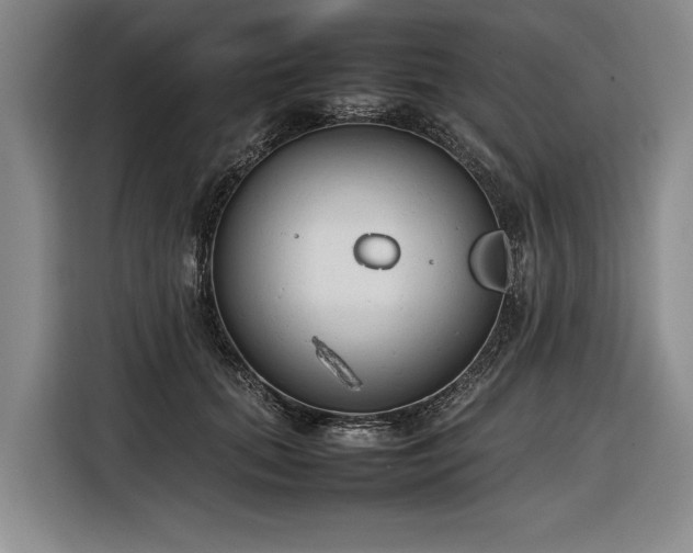 X0000116880655200912221426