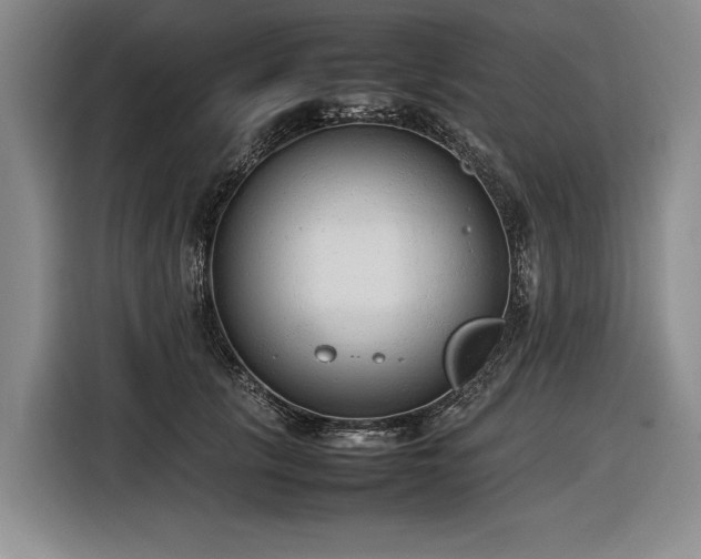 X0000116880657200912221426