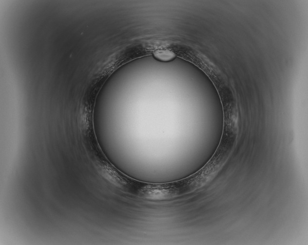 X0000116880658200912221426