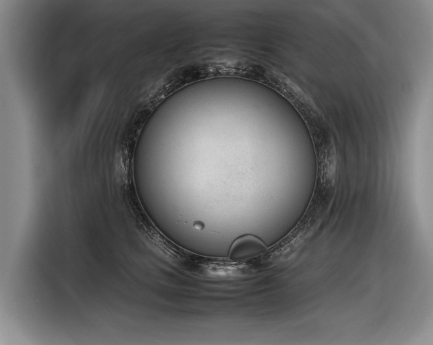 X0000116880661200912221426