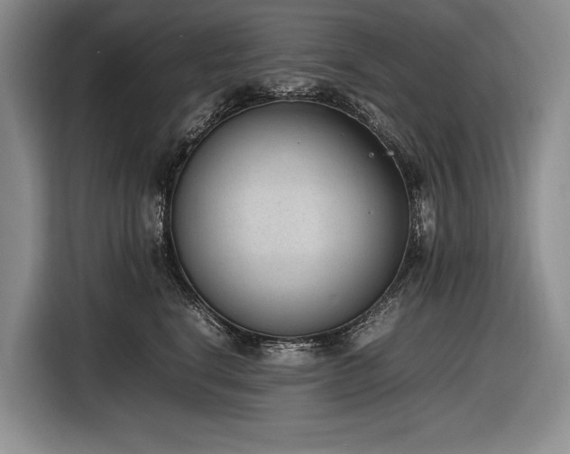 X0000116880664200912221426