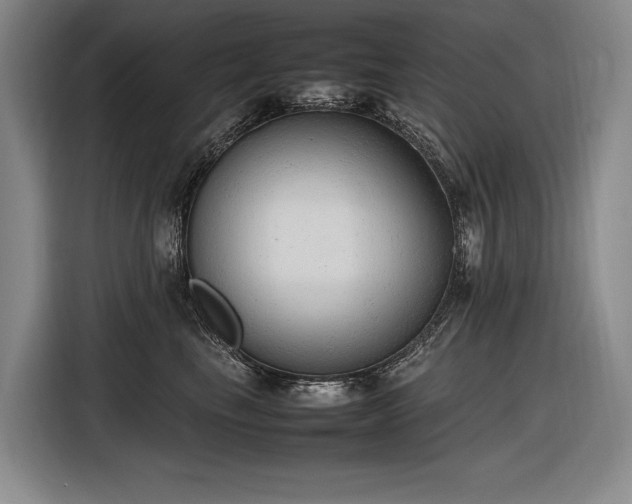 X0000116880665200912221426