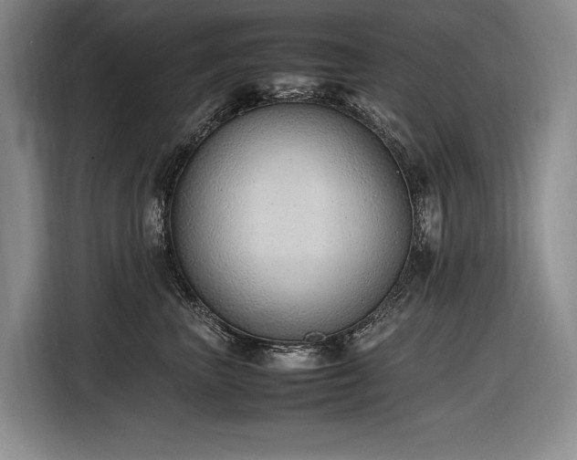 X0000116880667200912221426