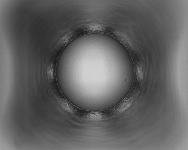 X0000116880668200912221426