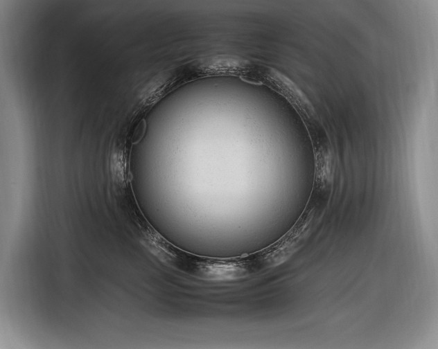 X0000116880669200912221427