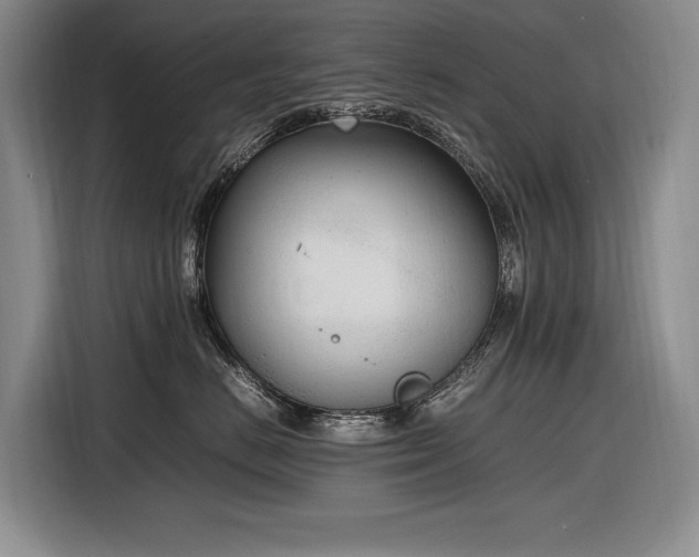 X0000116880670200912221427
