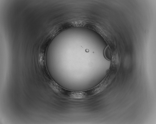 X0000116880671200912221427