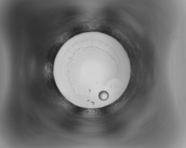 X0000116880672200912221427