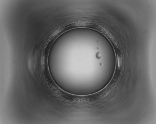 X0000116880675200912221426