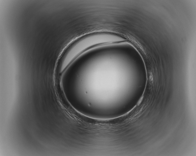 X0000116880676200912221426
