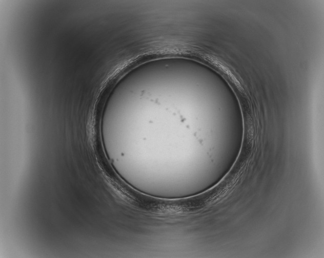 X0000116880677200912221426