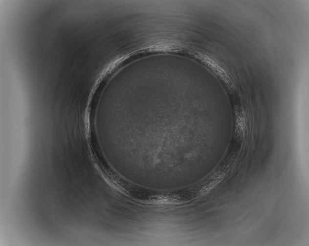 X0000116880678200912221426