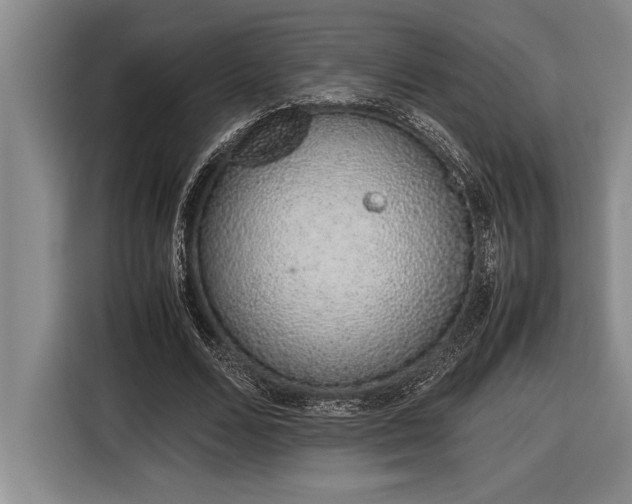 X0000116880680200912221426