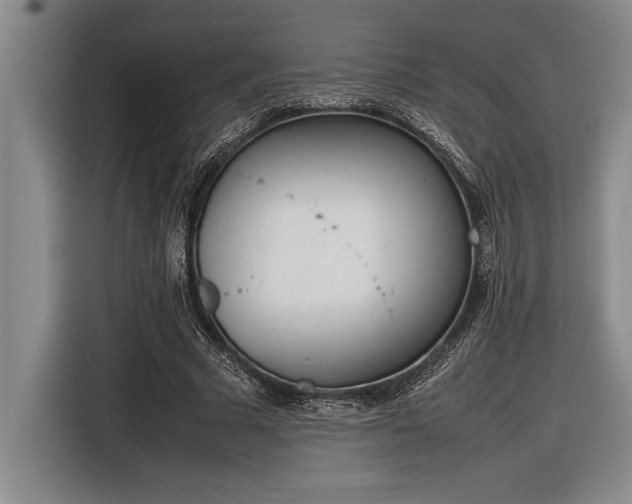 X0000116880681200912221426