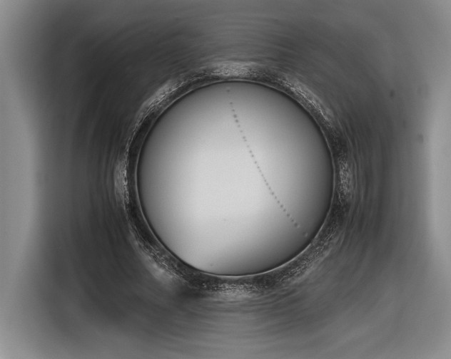 X0000116880682200912221426
