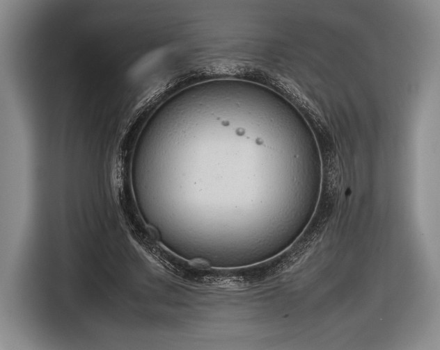 X0000116880683200912221426