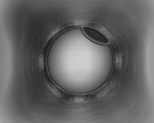 X0000116880684200912221426