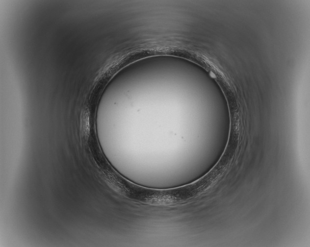 X0000116880685200912221426
