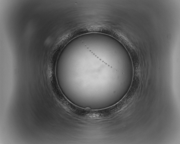 X0000116880687200912221426